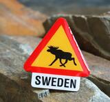 Przypinka Uwaga Łosie (metalowa)