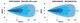 SKYLED APUS PRO 20” (515 mm) LED BAR SUPER SLIM 120W białe i pomarańczowe światło pozycyjne R17/R10/R112 - zdjęcie 8