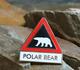 Przypinka Uwaga Niedźwiedzie Polarne (metalowa) - zdjęcie 2