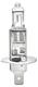 Żarówka H1 70W/24V HEAVY DUTY EXPERT LONGER LIFETIME - zdjęcie 2